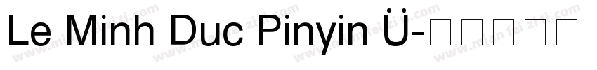 Le Minh Duc Pinyin V字体转换